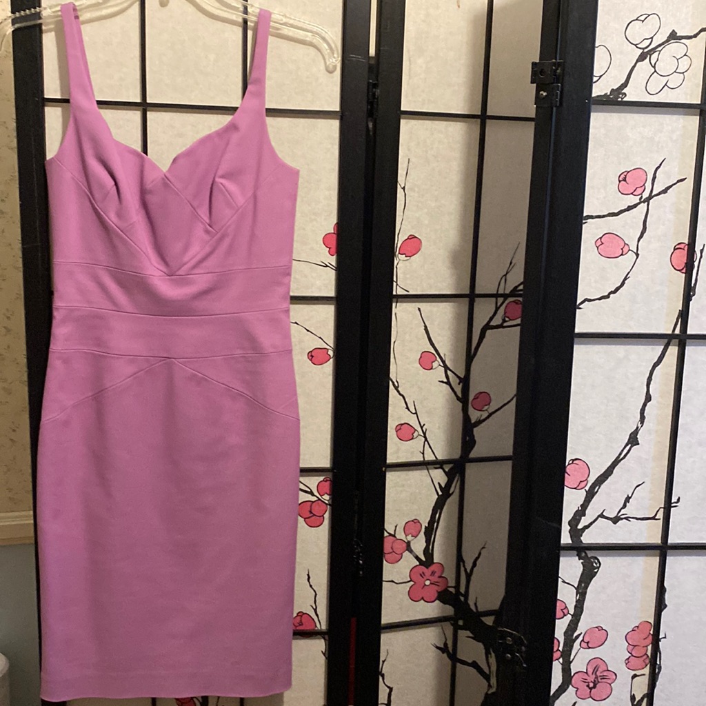 Beautiful Brand New Robert Rodriguez Dress
